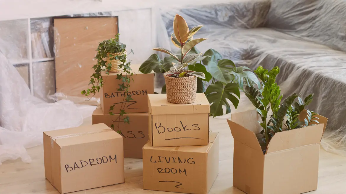 How to Choose the Best Movers and Packers in Noida for a Stress-Free Move